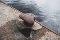 Old rusty mooring hook on the edge of the pier. Royalty Free Stock Photo