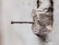 Old rusty nail hammered into a piece of wood Royalty Free Stock Photo