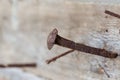 Old rusty nail hammered into a wall Royalty Free Stock Photo