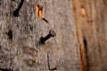 Old rusty nail hammered into the plank Royalty Free Stock Photo