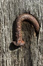 Old rusty nail in the piece of wood close up Royalty Free Stock Photo