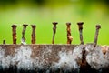 Old and rusty nails Royalty Free Stock Photo