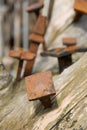 Old rusty nails Royalty Free Stock Photo