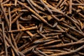 Old rusty nails Royalty Free Stock Photo