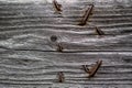 Old Rusty Nails in Cabin Board Royalty Free Stock Photo