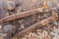 Old rusty nails for fastening rails and sleepers on railway track. Metal texture closeup for your design Royalty Free Stock Photo