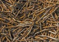 Old rusty nails Royalty Free Stock Photo