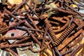 Old rusty nails and screws. Background. Royalty Free Stock Photo