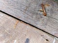 old, rusty nails on a wooden board Royalty Free Stock Photo