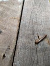 old, rusty nails on a wooden board Royalty Free Stock Photo