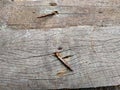 old, rusty nails on a wooden board Royalty Free Stock Photo