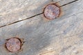 Old rusty nails in an old wooden board macro shot Royalty Free Stock Photo