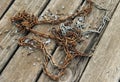 Old rusty and new chains and freshwater mussel shells and shell splinters on mouldy wooden panels