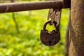 an old rusty padlock against a background of green foliage, selective focus