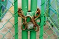 Old and rusty padlock chained to a green door in a fence Royalty Free Stock Photo