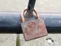 Old rusty padlock up close locked on black metal gate