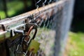 Old rusty padlock on wired garden fence , shallow depth of field Royalty Free Stock Photo