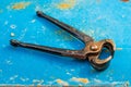 Old rusty pincers on a blue, rusty metal background. First-class levers used primarily for removing objects typically nails