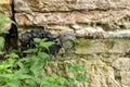 Old rusty plumbing meter, pipe and valve