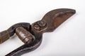 Old rusty pruning shears. Accessories for trimming tree branches and shrubs in your home garden