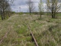 Old rusty railroad tracks