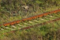 Old rusty railtracks in green grass Royalty Free Stock Photo