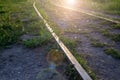 Old rusty railway tracks. Green grass grows all around. The bright sun is shining and glare is at the bottom of the