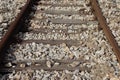 Old rusty railway tracks Royalty Free Stock Photo