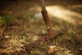 Old rusty rake tool stands in the garden on the ground with dry grass