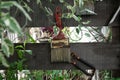 Red paint brush hang decoratively on fence