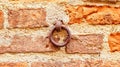 Old rusty round chain link sticking out of concrete on a wall Royalty Free Stock Photo