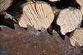 Old rusty saw blade on circular saw with wood Royalty Free Stock Photo