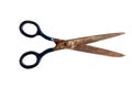 Rusty scissors