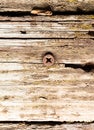 Old rusty screw screwed into the board Royalty Free Stock Photo