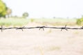 Old rusty security barbed wire fence isolated on green nature for background texture. Royalty Free Stock Photo