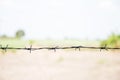 Old rusty security barbed wire fence isolated on green nature for background texture. Royalty Free Stock Photo