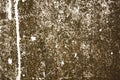 Old rusty sheet of iron with white spots of paint. rough surface texture Royalty Free Stock Photo