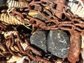 Old rusty ship anchor chain links close up Royalty Free Stock Photo
