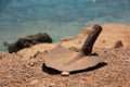 Old rusty shovel on the beach Royalty Free Stock Photo