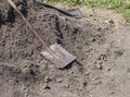 Old rusty shovel on mound for planting strawberries