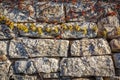 Old rusty stone wall texture in warm daylight summer with cute r