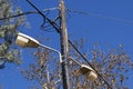 Old rusty street lamp Royalty Free Stock Photo