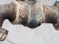 Old rusty tap size 1/2 inch with water drop  under it in garden Royalty Free Stock Photo