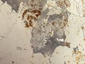 Old, rusty texture. peeling white paint peels from old age on corroded metal. retro background Royalty Free Stock Photo