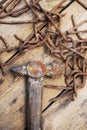 Old rusty tools, the hammer and nails Royalty Free Stock Photo