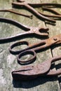 Old rusty tools, scissors, nail, pliers Royalty Free Stock Photo