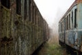 Old rusty trains. Old abandoned track, siding with dirty old trains. Royalty Free Stock Photo