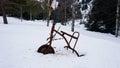 An old rusty tricycle in the winter forest