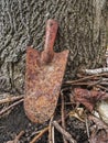 Old rusty trowel against tree trunk, UK Royalty Free Stock Photo