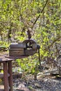 Old and rusty vice on the site of a former freight yard.